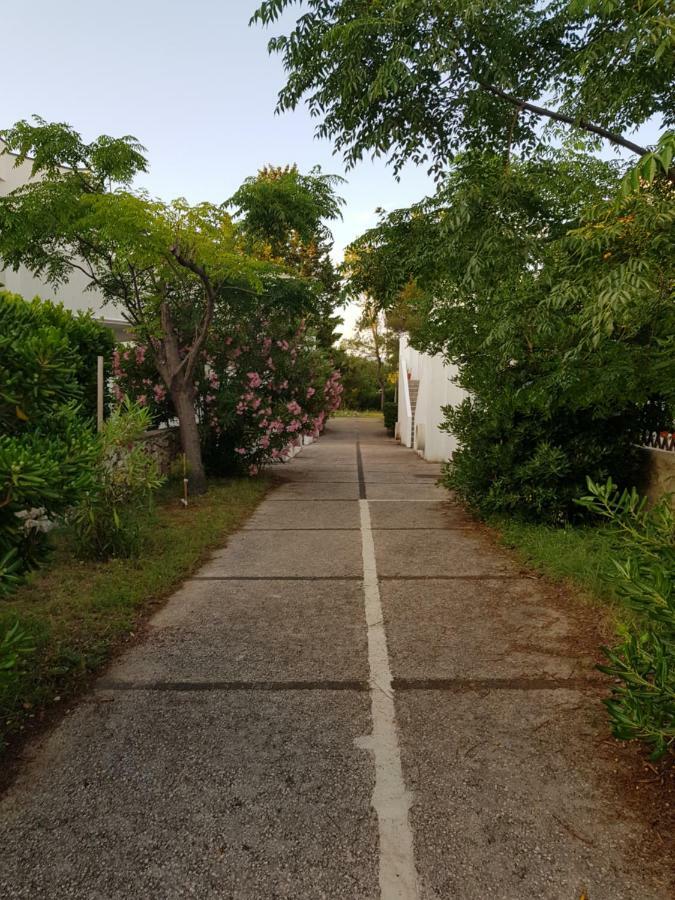 Apartment Gajac Zrce Novalja Zewnętrze zdjęcie